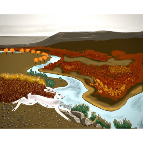 The Hare of WestTexas. Print on canvas, 8x10