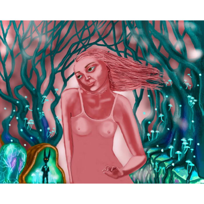 The mushrooms forest.