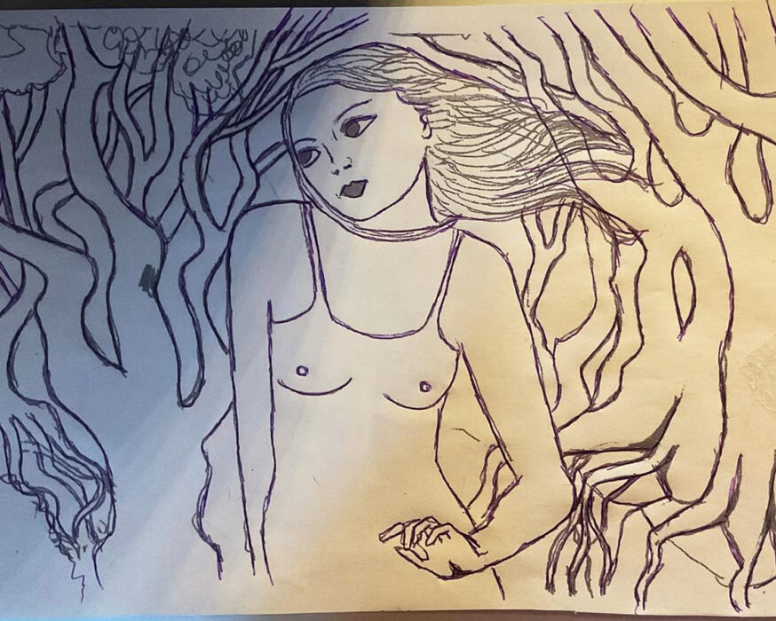 The mushrooms forest.